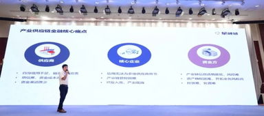 協同創新，共促發展 互聯網招標采購行動技術創新成果推廣運用交流會在京圓滿舉行